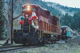the magical christmas skunk train is an