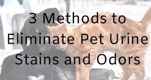 pet urine stains and odors