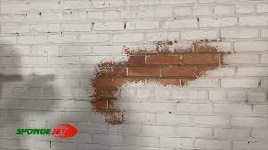 Removing Paint From Soft Brick