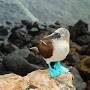 Galapagos Islands tour packages from www.tripmasters.com