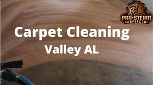 carpet cleaning valley al