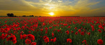 Image result for anzac day 2018