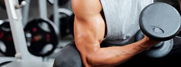 building biceps the best exercises