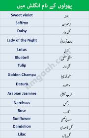 name of flowers in english and urdu pdf