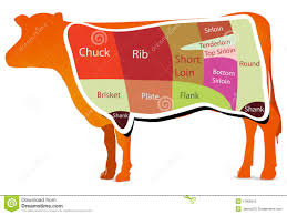 Beef Cutting Chart Stock Vector Illustration Of Certified