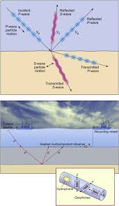 s wave velocity an overview