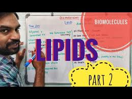 biomolecules lipids part 2 you