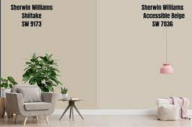 Sherwin Williams Shiitake Palette