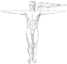 So we will use the muscle chart from step 8 as a guide to block the muscle in, quite forcefully at first, as this will also be our base for the écorché side of the figure, so we should. How To Draw The Human Torso And Chest Body Figure Drawing Tutorial How To Draw Step By Step Drawing Tutorials