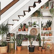 50 beautiful indoor plants design in