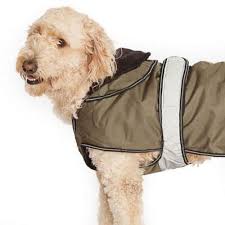 Top 10 Waterproof Dog Coats To Keep