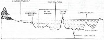 relief features of an ocean floor