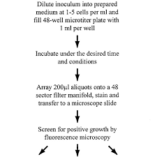 Flow Chart Of Htc Procedures Dmso Dimethyl Sulfoxide