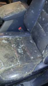remove mold on honda pilot interior