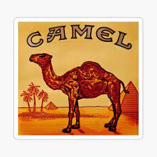 Camel filter king soft pack $27.00. Camel Cigarette Stickers Redbubble