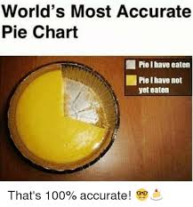 Worlds Most Accurate Pie Chart 1 Piel Have Eaten Pie Ihave