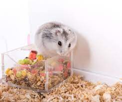 does bedding keep hamsters warm great
