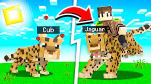 how to get a pet jaguar in minecraft