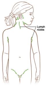 Your body relies on the lymphatic system to fight off germs, infections, and abnormal substances such as cancer cells. When Your Child Has Swollen Lymph Nodes Saint Luke S Health System