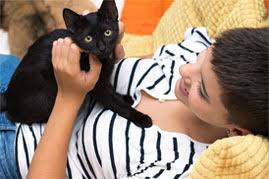Dementia in cats has been likened to senile dementia and alzheimer's disease in aged humans. Cat Dementia Understanding Feline Senile Dementia Trupanion Pet Care