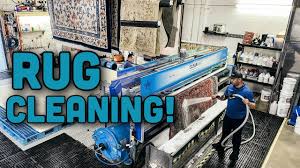 rug cleaning plant satisfying cleaning