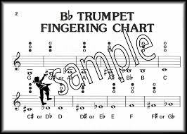 Details About Music Pocketbook Trumpet Sheet Music Book Fingering Chart Solos Daily Studies