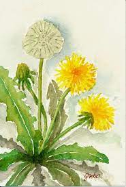 24 min · zdftivi 24 min. Pin On Watercolor Paintings For Beginners