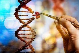 crispr gene editing technology enters