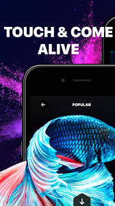 live wallpaper wallpapers hd by appic