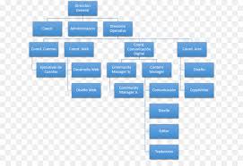 Organizational Structure Organizational Chart Download