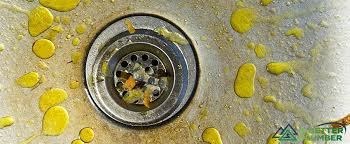 allow grease buildup in drains
