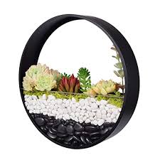 Round Hanging Planter Wall Plants