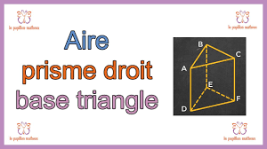 Comment calculer l'aire d'un prisme droit à base triangulaire - YouTube