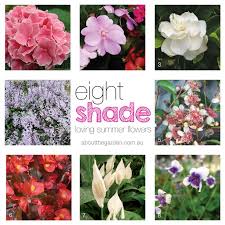 Most shade tolerant trees are small, understory trees that grow naturally in woods openings or along forest edges. 8 Summer Flowers For Shady Gardens About The Garden Magazine