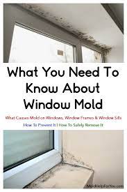 mold on windows and window sills