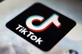 tiktok releases its top 100 list for