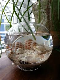 Tidal Pool Glass Globe With Sand And
