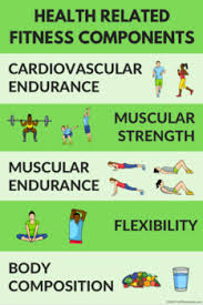 It is achieving an overall feeling of well being through health and fitness are directly related , and the benefits of physical activity to a person's overall h. Health Related Components Of Fitness Poster For Pe Class 9 Color Variations