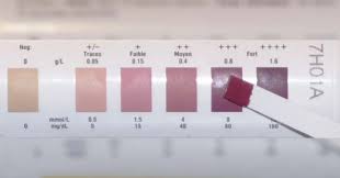 Measuring Ketosis With Ketone Test Strips Are They Accurate