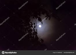 A Daunting And Spooky Night With A Shiny Moon Stock Photo