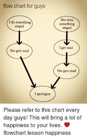 Flow Chart For Guys I Do Something Stupid She Gets Mad I