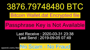 bitcoin wallet dat with 3876 79748480