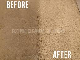 carpet cleaning reno eco pro cleaning