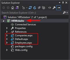 web application with asp net and sql server