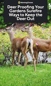 Deer Proofing Your Gardens Surefire