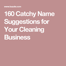 160 Catchy Name Suggestions For Your Cleaning Business Names For