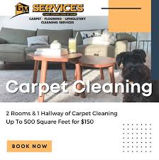 coupon carpet cleaning ocean