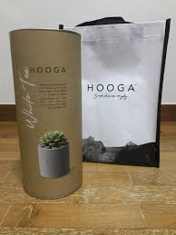 This fragrance behaves perfectly in soap curing into. Hooga White Tea Succulent Clay Diffuser Furniture Home Decor Others On Carousell