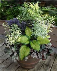 Container Gardening Salmon Falls