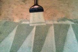 the 1 carpet cleaning in houston tx